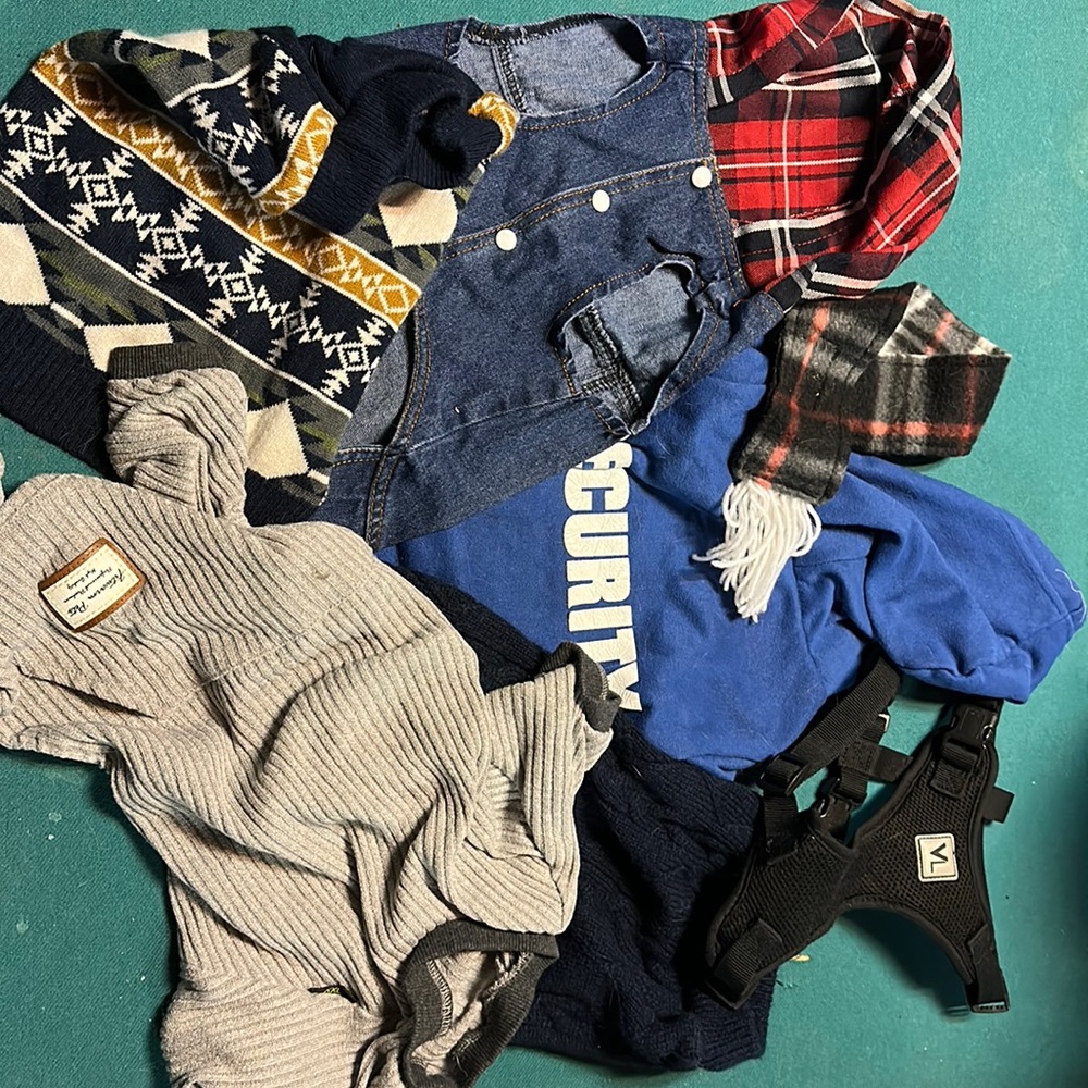 Dog clothes and harness size Medium